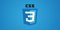 css3